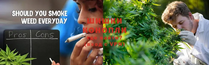 Канабис SATIVA & INDICA  купить   Ленинск 